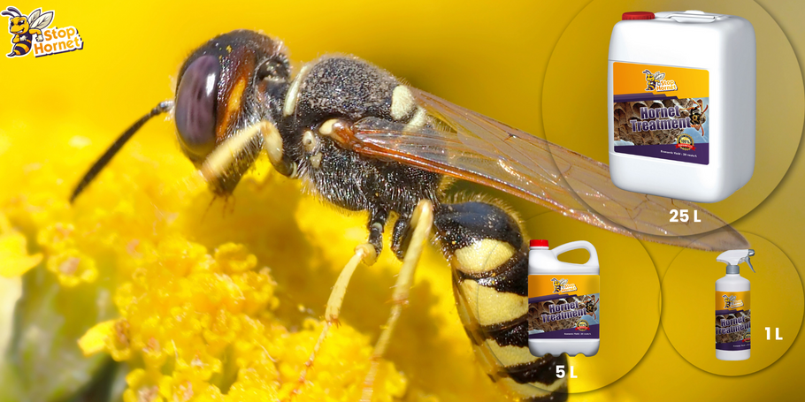 Cerchi un trattamento anti-calabroni e vespe? Stop Hornet è la soluzione al tuo problema.