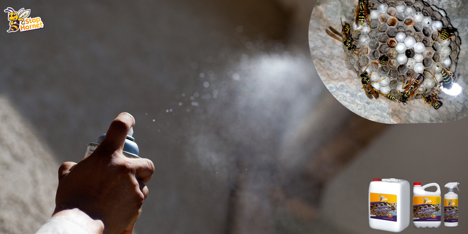 Durata effettiva del trattamento anti-calabrone e vespe: tutto quello che c'è da sapere.