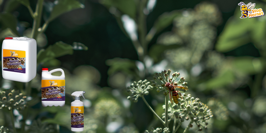 Il trattamento anti-calabroni e vespe è rispettoso dell'ambiente?